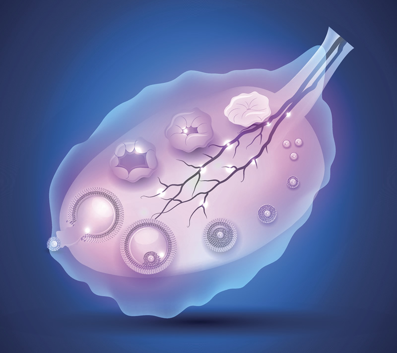 商丘三代试管私立医院排名前三，费用、成功率一网打尽